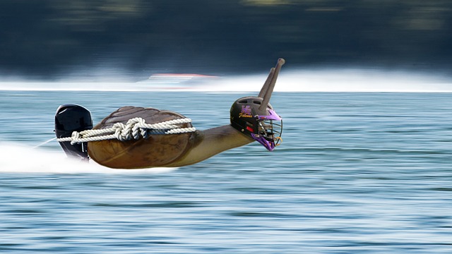 成高价值射